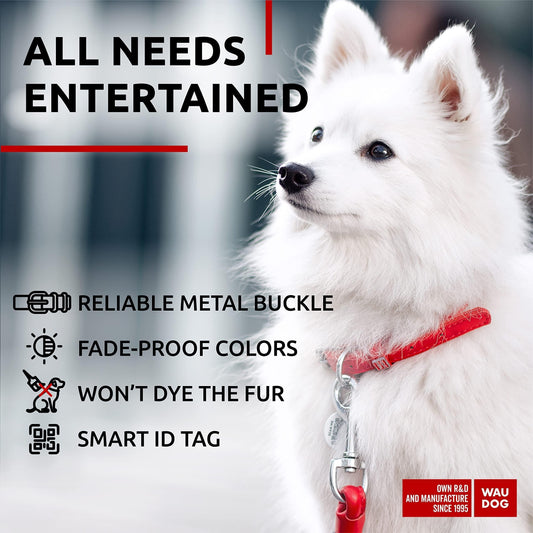 Red Ultra Soft Rolled Leather Dog Collar