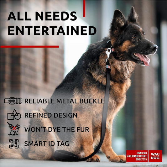 Black Long Lasting Leather Dog Collar