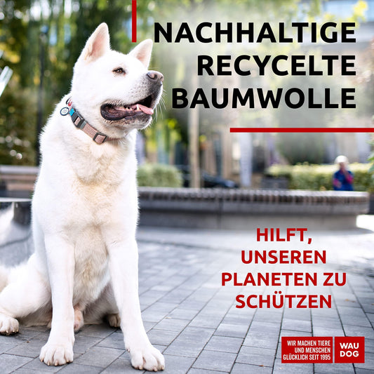 Brown Reflective Cotton Dog Collar