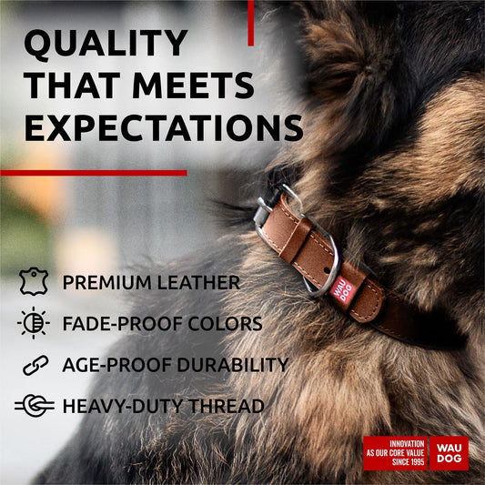 Brown Leather Dog Collar