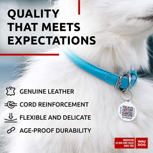 Blue Ultra Soft Rolled Leather Dog Collar